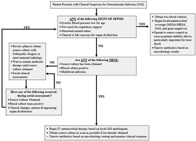 Delaying antimicrobials for pediatric bone and joint infections: Balancing clinical risks with diagnostic benefits